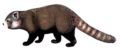 Manipulation depicting the prehistoric Parailurus anglicus